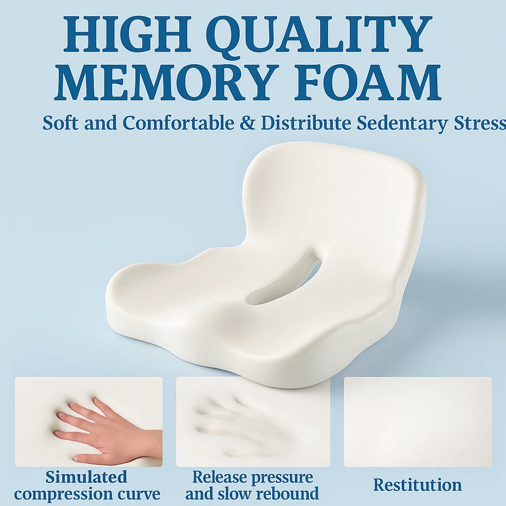 Seat Back Cushion for Ergonomic Lumbar Support