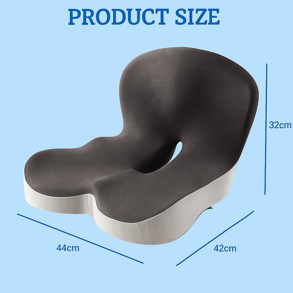 Seat Back Cushion for Ergonomic Lumbar Support